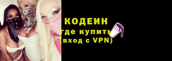 шишки Переславль-Залесский