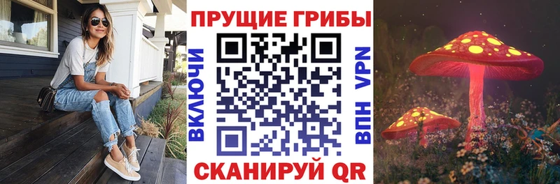 Псилоцибиновые грибы ЛСД  OMG tor  Чистополь 